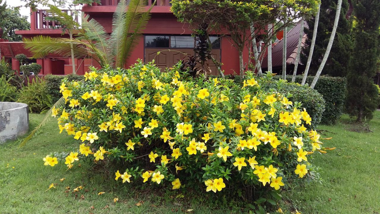 เฮือนปลายนา โฮมสเตย์ Ban Sawan Exterior foto